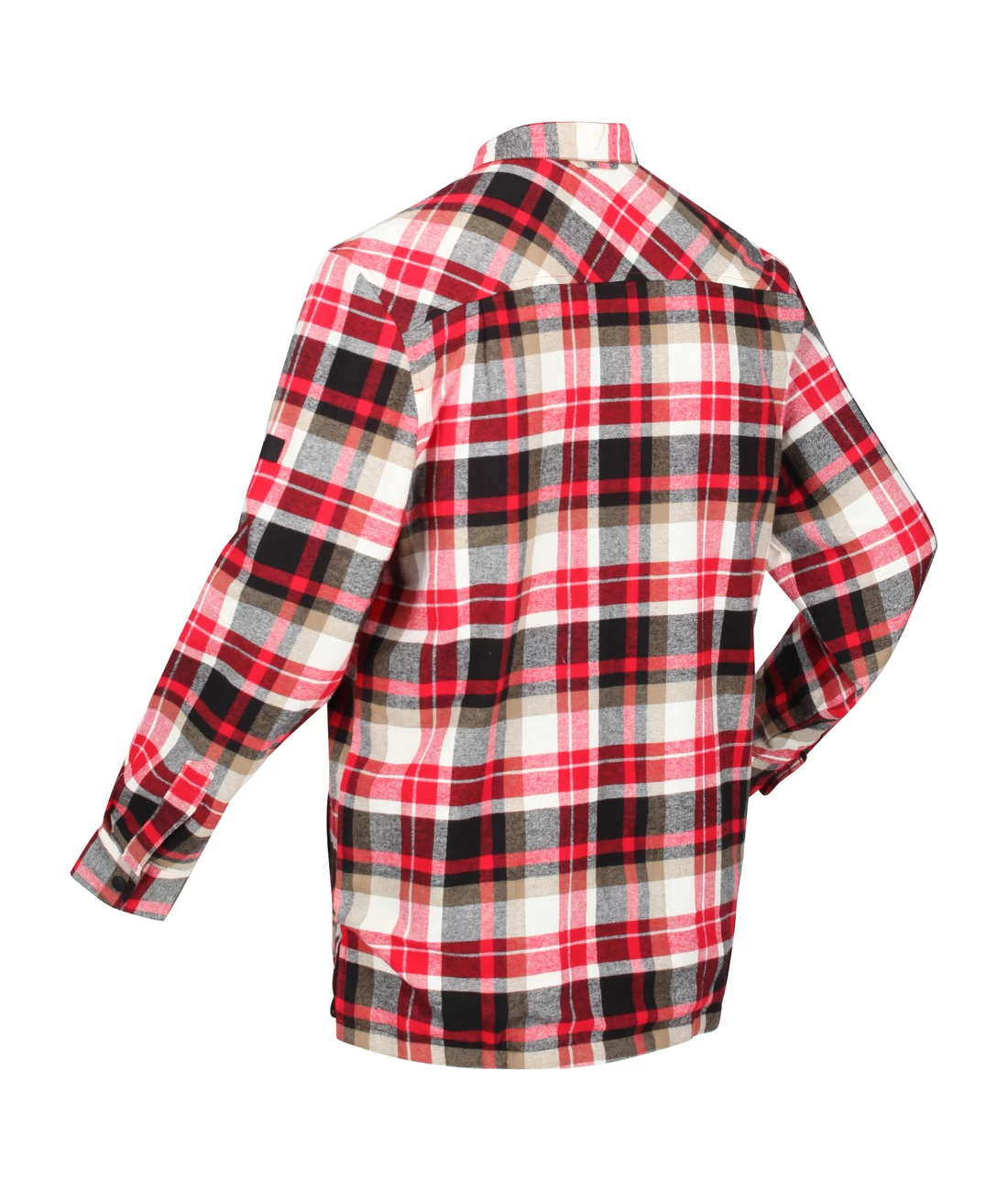 Regatta Thamos 4 Regatta Thamos – Bild 2