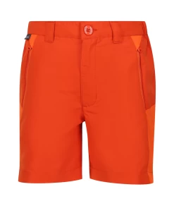 Regatta Sorcer Mountain Shorts III -Draussen Geschäft 18955420 2