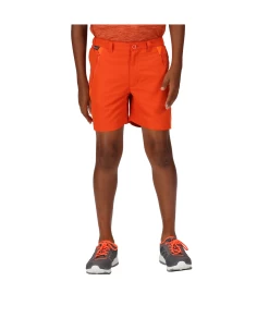 Regatta Sorcer Mountain Shorts III -Draussen Geschäft 18955420 4