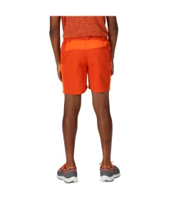 Regatta Sorcer Mountain Shorts III -Draussen Geschäft 18955420 5