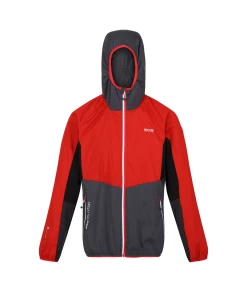 Regatta Tarvos VI -Draussen Geschäft 19938530 2