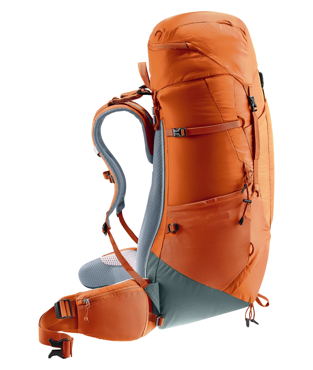 Deuter Aircontact Lite 50+10 5 Deuter Aircontact Lite 50+10 – Bild 3