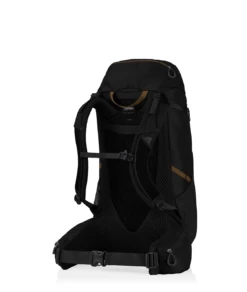 Gregory Stout 45 -Draussen Geschäft 30938194 1