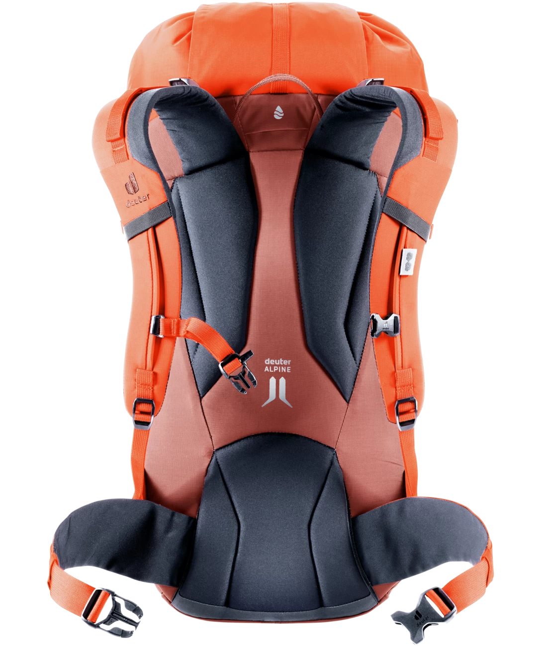 Deuter Guide 30 4 Deuter Guide 30 – Bild 2