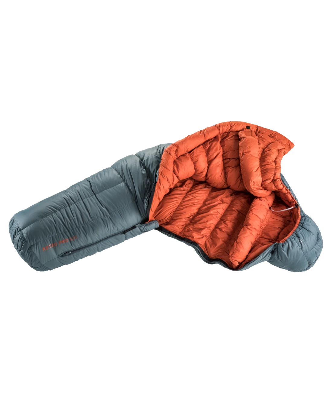 Deuter Astro Pro 600 Large 4 Deuter Astro Pro 600 Large – Bild 2