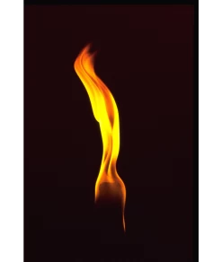 Wachsfackel - 50er Pack -Draussen Geschäft 90927213 4