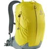 Deuter AC Lite 17