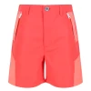 Regatta Sorcer Mountain Shorts II -Draussen Geschäft Sorcer Mountain Shorts II 18954520