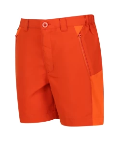 Regatta Sorcer Mountain Shorts III